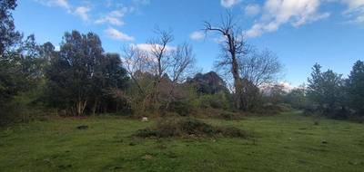 Terrain à Quenza en Corse-du-Sud (2A) de 3000 m² à vendre au prix de 140000€ - 1