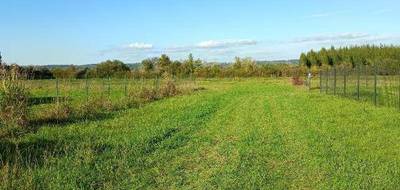 Terrain à Saint-Nicolas-de-la-Grave en Tarn-et-Garonne (82) de 552 m² à vendre au prix de 36000€ - 4