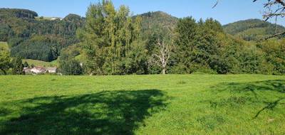 Terrain à Le Val-d'Ajol en Vosges (88) de 2683 m² à vendre au prix de 36600€ - 1