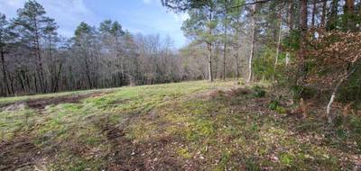 Terrain à Queyssac en Dordogne (24) de 2386 m² à vendre au prix de 51000€ - 1