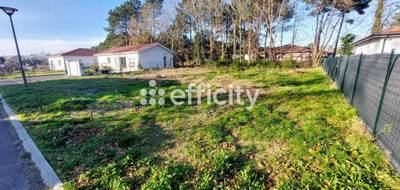 Terrain à Magescq en Landes (40) de 603 m² à vendre au prix de 145000€ - 2