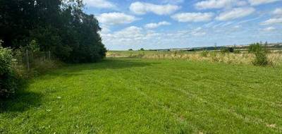 Terrain à Soissons en Aisne (02) de 2000 m² à vendre au prix de 50000€ - 2