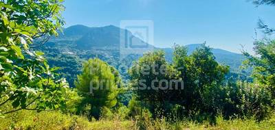 Terrain à Castagniers en Alpes-Maritimes (06) de 1400 m² à vendre au prix de 210000€ - 2