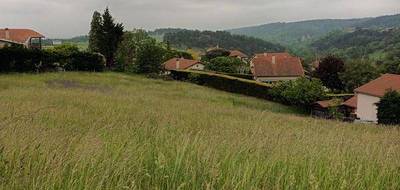 Terrain à Bard en Loire (42) de 1100 m² à vendre au prix de 95000€ - 3