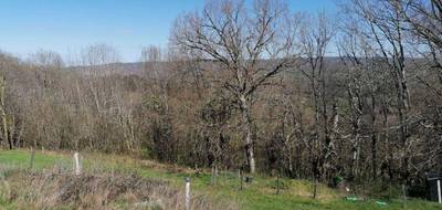 Terrain à Auzits en Aveyron (12) de 4300 m² à vendre au prix de 45000€ - 3