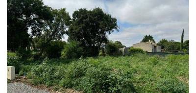 Terrain à Saint-Médard en Charente-Maritime (17) de 451 m² à vendre au prix de 122000€ - 1