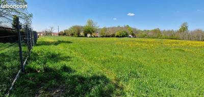 Terrain et maison à Chemillé-en-Anjou en Maine-et-Loire (49) de 388 m² à vendre au prix de 170000€ - 4