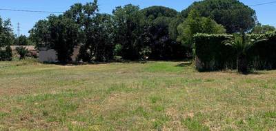 Terrain à Fréjus en Var (83) de 1192 m² à vendre au prix de 319000€ - 1