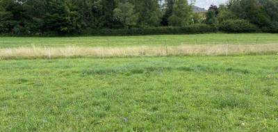 Terrain à Bavilliers en Territoire de Belfort (90) de 3320 m² à vendre au prix de 101600€ - 1