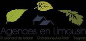 Logo du client SAINT LEONARD IMMOBILIER