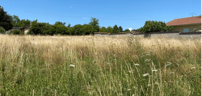 Terrain et maison à Dompierre-sur-Chalaronne en Ain (01) de 79 m² à vendre au prix de 244000€ - 4