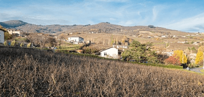 Terrain et maison à Juliénas en Rhône (69) de 145 m² à vendre au prix de 338864€ - 1