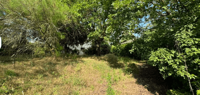 Terrain et maison à Montmerle-sur-Saône en Ain (01) de 145 m² à vendre au prix de 361300€ - 4