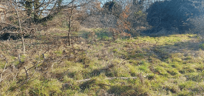 Terrain et maison à Francheleins en Ain (01) de 95 m² à vendre au prix de 304900€ - 4