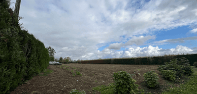 Terrain et maison à Calonne-sur-la-Lys en Pas-de-Calais (62) de 120 m² à vendre au prix de 423200€ - 4