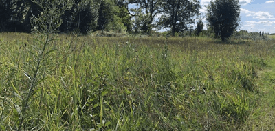 Terrain et maison à Chemillé-en-Anjou en Maine-et-Loire (49) de 1567 m² à vendre au prix de 226928€ - 3