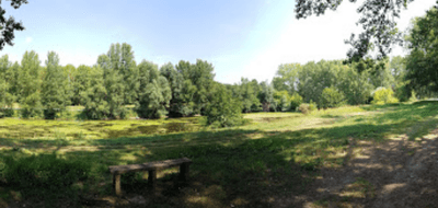 Terrain et maison à Cravant en Loiret (45) de 975 m² à vendre au prix de 255034€ - 3