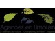 Logo de SAINT LEONARD IMMOBILIER pour l'annonce 378991