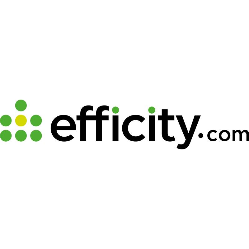 Logo du client RESEAU EFFICITY